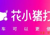 花小猪派单系统大揭秘，花小猪打车为啥没人接单