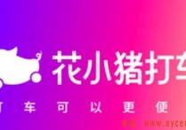 网约车版“拼多多”，司机要身份证就能注册