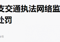 注意！交通执法网络监管大队成立了，已经有网约车平台和司机栽了